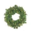 Northlight 36" Pre-Lit Canyon Pine Artificial Wreath With Clear Lights