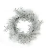 Northlight 22" Clear Ice & Snowflakes Black Twigs Wreath