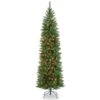 6.5 Ft. Pre-lit Kingswood Fir Pencil Artificial Christmas Tree, Multicolor Lights