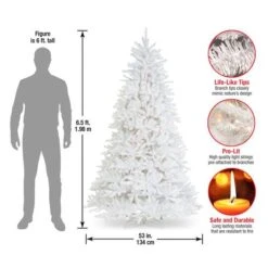 6.5ft. Pre-Lit Dunhill® White Fir Artificial Christmas Tree, Clear Lights -Michaels Shop D205063S 18