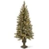 4ft. Pre-Lit Glittery Bristle® Entrance Tree With Warm White LED Lights -Michaels Shop D205075S 1