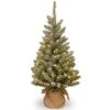 3ft. Snowy Concolor Fir With Snowy Pinecones Artificial Christmas Tree In Burlap Base, Warm White LED Lights 1 3ft. Snowy Concolor Fir With Snowy Pinecones Artificial Christmas Tree In Burlap Base, Warm White LED Lights -Michaels Shop D206345S 1