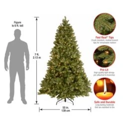 7ft. Pre-Lit Downswept Douglas® Fir Tree, Clear Lights -Michaels Shop D228421S 4