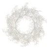 22" White Glittered Plastic Twig Wreath -Michaels Shop D233795S 1