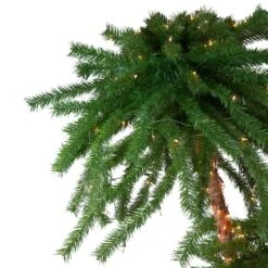 Northlight 4ft. & 6ft. Pre-Lit Dual Artificial Outdoor Palm Christmas Tree, Multicolor Lights -Michaels Shop D236954S 3