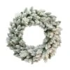24" Flocked Spruce Wreath -Michaels Shop D248345S 1