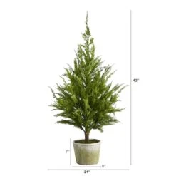 3.5ft. Unlit Cedar Pine Natural Look Artificial Christmas Tree -Michaels Shop D251284S 2