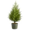 3ft. Unlit Norfolk Island Pine Artificial Potted Christmas Tree
