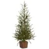 3ft. Unlit Alpine With Pinecones Artificial Potted Christmas Tree -Michaels Shop D251298S 1