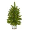 2ft. Pre-Lit Providence Pine Artificial Christmas Tree, Warm White Lights