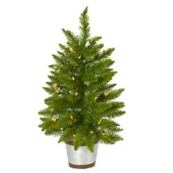 2ft. Pre-Lit Providence Pine Artificial Christmas Tree, Warm White Lights