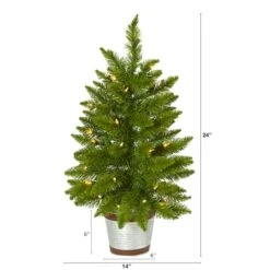 2ft. Pre-Lit Providence Pine Artificial Christmas Tree, Warm White Lights -Michaels Shop D251301S 2