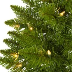 2ft. Pre-Lit Providence Pine Artificial Christmas Tree, Warm White Lights -Michaels Shop D251301S 3