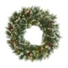 24" LED Frosted Swiss Pine & Berry Artificial Wreath