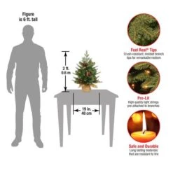 2ft. Pre-Lit Nordic Spruce® Artificial Christmas Tree, Warm White LED Lights -Michaels Shop D252413S 14