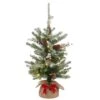 2ft. Pre-Lit Snowy Morgan Spruce Artificial Christmas Tree, Warm White LED Lights -Michaels Shop D252426S 1