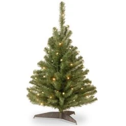 3ft. Pre-Lit Kincaid Spruce Artificial Christmas Tree, Clear Lights