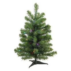 Northlight 24" Pre-Lit Canadian Pine Artificial Christmas Tree, Multicolor Lights