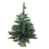 Northlight 3ft. Unlit Royal Oregon Pine Artificial Christmas Tree -Michaels Shop D253693S 1