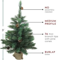 Northlight 3ft. Unlit Royal Oregon Pine Artificial Christmas Tree -Michaels Shop D253693S 13
