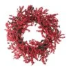 Northlight 22" Red & Brown Berry Christmas Wreath -Michaels Shop D253731S 1