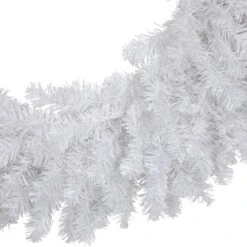 Northlight 24" White Canadian Pine Artificial Christmas Wreath -Michaels Shop D253751S 14