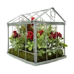 Northlight 9" Red & Green Cardinal Boxwood Artificial Christmas Greenhouse Arrangement -Michaels Shop D253929S 11