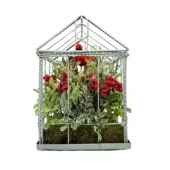 Northlight 9" Red & Green Cardinal Boxwood Artificial Christmas Greenhouse Arrangement -Michaels Shop D253929S 12