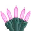 Northlight 100ct. LED Mini Christmas Lights With Green Wire Pink -Michaels Shop D254044S 1