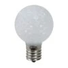 Northlight Pure White Faceted G40 LED Replacement Bulbs, 25ct. -Michaels Shop D254075S 1