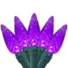 Northlight 70ct. LED Faceted C6 Christmas String Lights Purple -Michaels Shop D254082S 1
