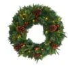 24" Clear LED Mixed Pine & Berries Christmas Wreath -Michaels Shop D255799S 1