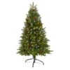 4ft. Pre-Lit Snow Tipped Portland Spruce Artificial Christmas Tree With Frosted Berries And Pinecones, Clear LED Lights -Michaels Shop D256058S 1