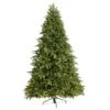 7.5ft. Pre-Lit Wyoming Fir Artificial Christmas Tree With Clear LED Lights 1 7.5ft. Pre-Lit Wyoming Fir Artificial Christmas Tree With Clear LED Lights -Michaels Shop D256073S 1