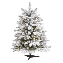 3ft. Pre-Lit Flocked North Carolina Fir Artificial Christmas Tree With Warm White Lights