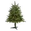 3ft. Pre-Lit South Carolina Spruce Artificial Christmas Tree, White Warm Lights -Michaels Shop D256102S 1