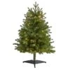 3ft. Pre-Lit Washington Fir Artificial Christmas Tree, Clear LED Lights -Michaels Shop D256148S 1