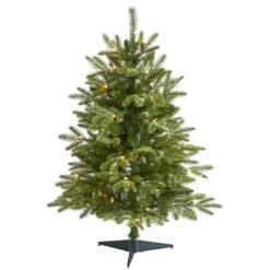 3ft. Pre-Lit Grand Teton Fir Artificial Christmas Tree, Clear LED Lights