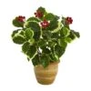 14" Variegated Holly Plant In Ceramic Planter 2 14" Variegated Holly Plant In Ceramic Planter -Michaels Shop D262456S 1