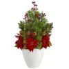 2.5ft. Poinsettia, Boxwood & Succulent Arrangement In White Vase