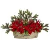 18'' Poinsettia, Succulent & Pine Plant In Decorative Vase -Michaels Shop D322373S 1