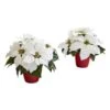 12" Potted White Poinsettia Set -Michaels Shop D322502S 11