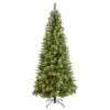 8ft. Pre-Lit Wisconsin Snow Tip Pine Artificial Christmas Tree, Clear LED Lights -Michaels Shop D478803S 1