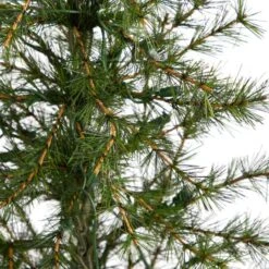 3ft. Pre-Lit Artificial Christmas Tree In Burlap Base, Clear LED Lights -Michaels Shop D478823S 5