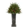 4ft. Pre-Lit Glittered Artificial Christmas Plant On Pedestal, Multicolor LED Lights -Michaels Shop D478834S 1
