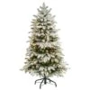 4ft. Pre-Lit Flocked North Carolina Fir Artificial Christmas Tree, Clear Lights