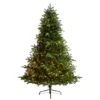 6ft. Pre-Lit South Carolina Spruce Artificial Christmas Tree, Clear Lights -Michaels Shop D478885S 1