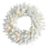 18" Pre-Lit Colorado Spruce Christmas Wreath -Michaels Shop D478973S 1