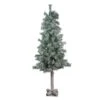 Northlight 4ft. Unlit Lightly Flocked & Glittered Woodland Alpine Artificial Christmas Tree -Michaels Shop D489946S 1