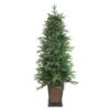 Northlight 6ft. Pre-Lit Oregon Noble Fir Slim Artificial Christmas Tree In Decorative Planter, Warm White LED Lights -Michaels Shop D489958S 1